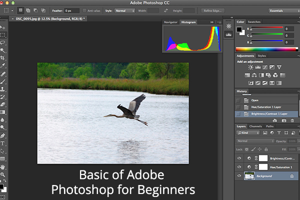 Basic of Adobe Photoshop for Beginners