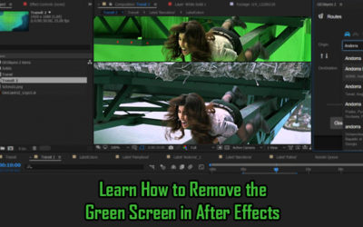 Remove the Green Screen