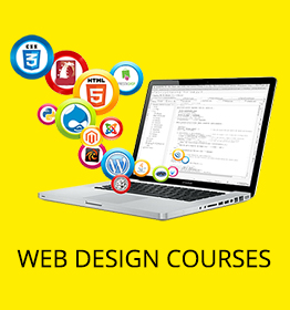 Web Designing Training Institute